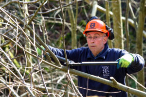 A man with an orange helmet using a pair of loppers