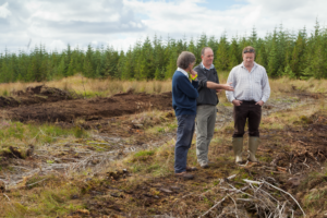 A group of people stood talking in an area where trees have recently been felled.