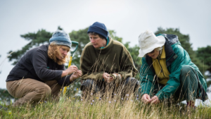 Welcome to the Scottish Wildlife Trust
